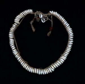 Cowrie Shell Necklace - Dani Tribe