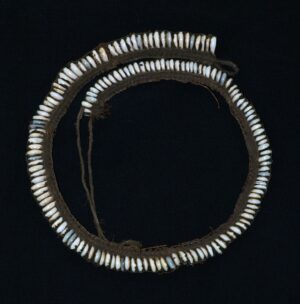 Cowrie Shell Belt - Dani Tribe