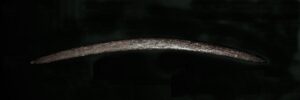 Boomerang - Ceremonial