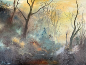 'Mist in Houyet' - Pol Ledent